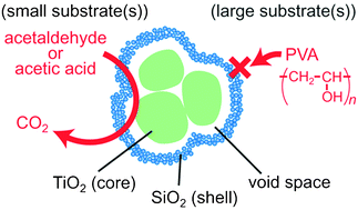 Graphical abstract: Encapsulation of titanium(iv) oxide particles in hollow silica for size-selective photocatalytic reactions