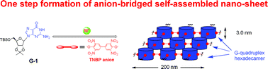 Graphical abstract: Anion bridged nanosheet from self-assembled G-quadruplexes
