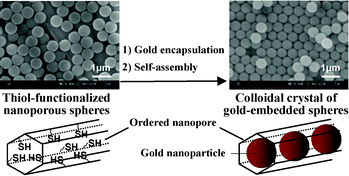 Graphical abstract: Direct synthesis of monodispersed thiol-functionalized nanoporous silica spheres and their application to a colloidal crystal embedded with gold nanoparticles