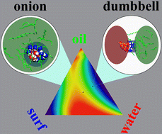 Graphical abstract: Dumbbells and onions in ternary nucleation