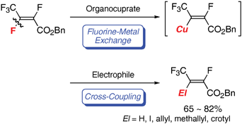 Graphical abstract: A novel fluorine–metal exchange reaction of pentafluorocrotonate with organocuprate. Generation of β-metallated tetrafluorocrotonate and its cross-coupling reaction