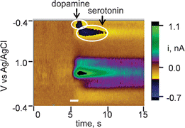 Graphical abstract: Carbon nanotube-modified microelectrodes for simultaneous detection of dopamine and serotoninin vivo