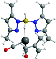 Graphical abstract: A theoretical and experimental study of the fluxional behaviour of molybdenum dihydrobis- and hydrotris-pyrazolylborates