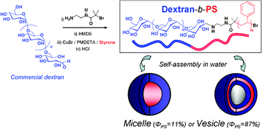 Graphical abstract: Synthesis of ATRP-induced dextran-b-polystyrene diblock copolymers and preliminary investigation of their self-assembly in water
