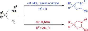 Graphical abstract: Hydroaminations of unactivated alkenes with basic alkylamines: group 4 metal halide catalysts and Brønsted-acid organocatalysts