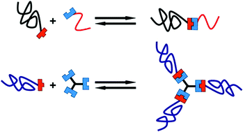 Graphical abstract: Asymmetrical supramolecular interactions as basis for complex responsive macromolecular architectures