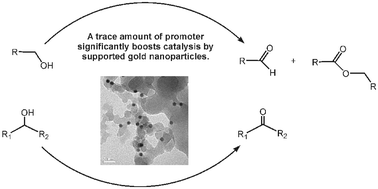 Graphical abstract: Promoting gold nanocatalysts in solvent-free selective aerobic oxidation of alcohols