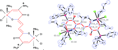 Graphical abstract: Synthesis and characterization of a bimetallic iridium complex with a ten sp2-carbon chain bridge
