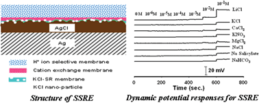 Graphical abstract: An all-solid-state reference electrode based on the layer-by-layer polymer coating