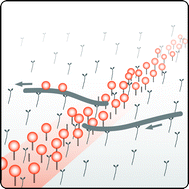 Graphical abstract: Cargo pick-up from engineered loading stations by kinesin driven molecular shuttles