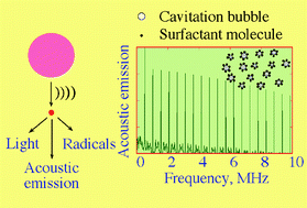 Graphical abstract: The effect of surface active solutes on bubbles in an acoustic field