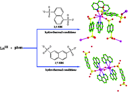 Graphical abstract: Arenedisulfonate–lanthanide supramolecular architectures with phenanthroline as a co-ligand: syntheses and structures