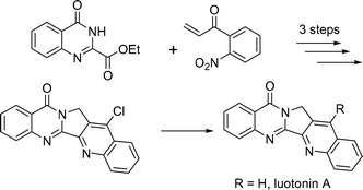 Graphical abstract: Total synthesis of luotonin A and 14-substituted analogues
