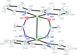 Graphical abstract: Dinuclear palladium(ii) complexes with bridging amidate ligands