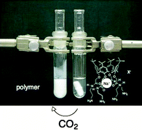 Graphical abstract: Using carbon dioxide and calix[4]arenes to separate sodium