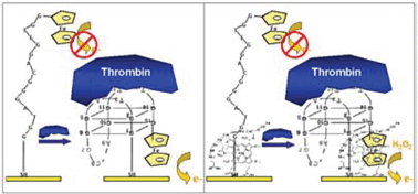 Graphical abstract: Aptamers as elements of bioelectronic devices