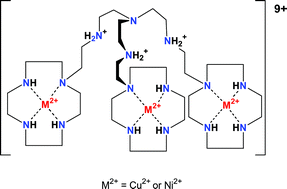Graphical abstract: Homo- and heteropolynuclear Ni2+ and Cu2+ complexes of polytopic ligands, consisting of a tren unit substituted with three 12-membered tetraazamacrocycles