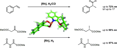 Graphical abstract: INDOLPhos: novel hybrid phosphine-phosphoramidite ligands for asymmetric hydrogenation and hydroformylation