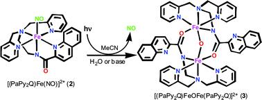 Graphical abstract: Formation of a triply bridged µ-oxo diiron(iii) core stabilized by two deprotonated carboxamide groups upon photorelease of NO from a {Fe–NO}6 iron nitrosyl
