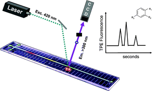 Graphical abstract: Two-photon excited fluorescence detection at 420 nm for label-free detection of small aromatics and proteins in microchip electrophoresis