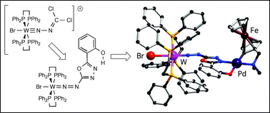 Graphical abstract: The oxadiazolyldiazenido(1−) ligand: a remarkably versatile platform for the synthesis of heteropolynuclear transition metal complexes