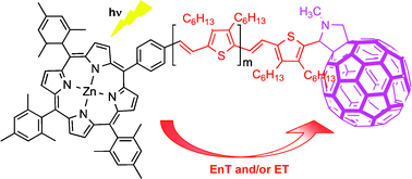 Graphical abstract: High effectiveness of oligothienylenevinylene as molecular wires in Zn-porphyrin and C60 connected systems
