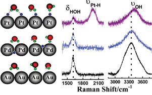 Graphical abstract: Characterization of surface water on Au core Pt-group metal shell nanoparticles coated electrodes by surface-enhanced Raman spectroscopy