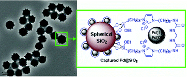 Graphical abstract: Palladium nanoparticles captured onto spherical silica particles using a urea cross-linked imidazolium molecular band