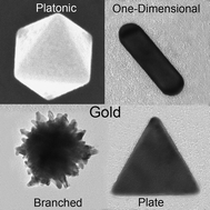Graphical abstract: Shape control in gold nanoparticle synthesis