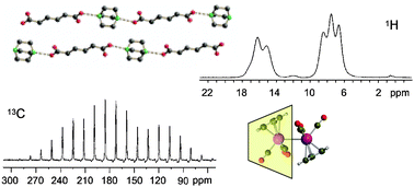 Graphical abstract: Solid-state NMR studies of weak interactions in supramolecular systems