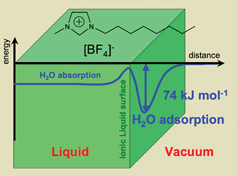 Graphical abstract: Water adsorption on a liquid surface