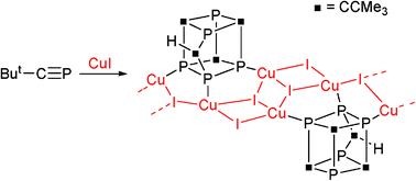 Graphical abstract: Copper(i) mediated oligomerisation of a phosphaalkyne