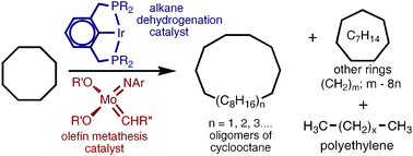 Graphical abstract: Catalytic ring expansion, contraction, and metathesis-polymerization of cycloalkanes