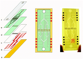 Graphical abstract: Screen-printed microfluidic device for electrochemical immunoassay