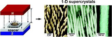 Graphical abstract: Highly crystalline anisotropic superstructures via magnetic field induced nanoparticle assembly