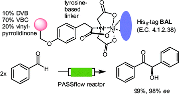 Graphical abstract: Enzyme-purification and catalytic transformations in a microstructured PASSflow reactor using a new tyrosine-based Ni-NTA linker system attached to a polyvinylpyrrolidinone-based matrix