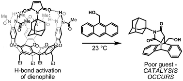 Graphical abstract: A deep cavitand catalyzes the Diels–Alder reaction of bound maleimides