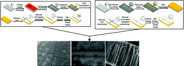 Graphical abstract: Integration of large-area polymer nanopillar arrays into microfluidic devices using in situ polymerization cast molding
