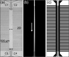 Graphical abstract: Influence of channel position on sample confinement in two-dimensional planar microfluidic devices