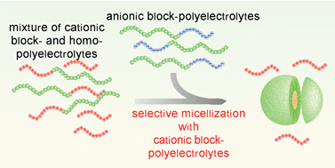 Graphical abstract: Selection between block- and homo-polyelectrolytes through polyion complex formation in aqueous medium