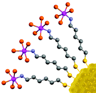 Graphical abstract: The surface functionalisation of gold nanoparticles with metal complexes