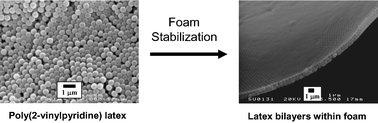 Graphical abstract: Preparation of stable foams using sterically stabilized pH-responsive latexes synthesized by emulsion polymerization