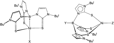Graphical abstract: Reactivity of the Ni→B dative σ-bond in the nickel boratrane compounds [κ4-B(mimBut)3]NiX (X = Cl, OAc, NCS, N3): synthesis of a series of B-functionalized tris(2-mercapto-1-tert-butylimidazolyl)borato complexes, [YTmBut]NiZ