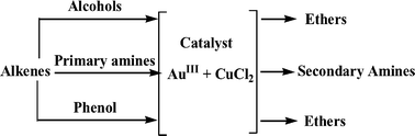 Graphical abstract: Efficient addition of alcohols, amines and phenol to unactivated alkenes by AuIII or PdII stabilized by CuCl2