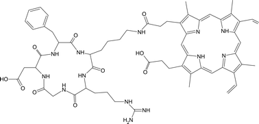 Graphical abstract: In vivo and in vitro characterisation of a protoporphyrin IX–cyclic RGD peptide conjugate for use in photodynamic therapy