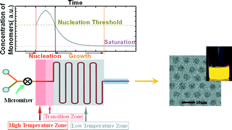 Graphical abstract: Synthesis of nanocrystalsvia microreaction with temperature gradient: towards separation of nucleation and growth