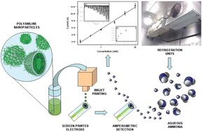 Graphical abstract: An aqueous ammonia sensor based on an inkjet-printed polyaniline nanoparticle-modified electrode