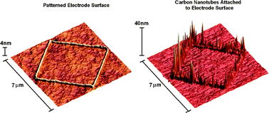 Graphical abstract: Patterned ferrocenemethanol modified carbon nanotube electrodes on silane modified silicon