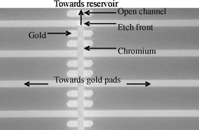 Graphical abstract: Rapid sacrificial layer etching for the fabrication of nanochannels with integrated metal electrodes