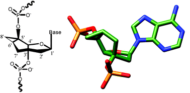 Graphical abstract: Crystal structure of tricyclo-DNA: an unusual compensatory change of two adjacent backbone torsion angles